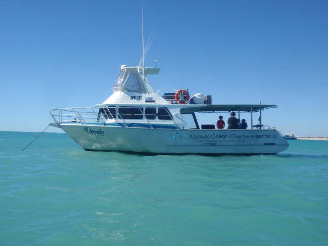 ABSOLUTE OCEAN CHARTERS BROOME, HAD A GREAT DAY OUT WITH THEM.